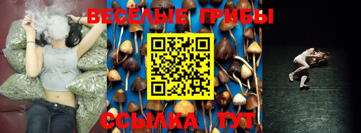 Галлюциногенные грибы MAGIC MUSHROOMS Карачаевск